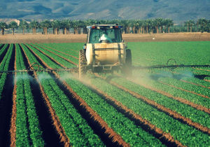 Nông nghiệp thương mại - Hướng phát triển không bền vững